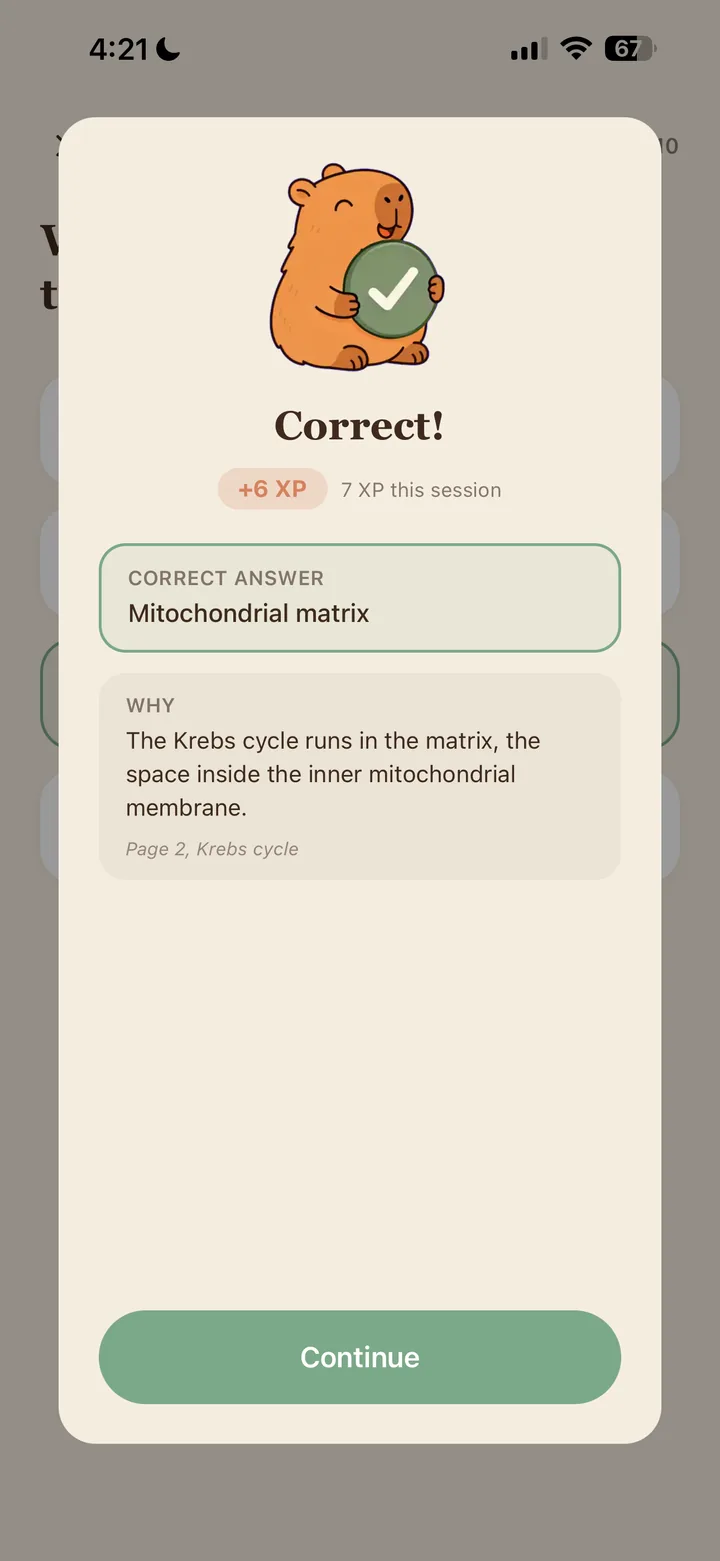 StudyCapy confirming a correct answer with the explanation and the page of the notes it came from